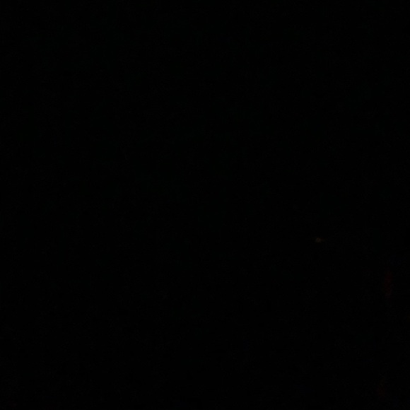 Meet your Posher, Donovan - Picture 1 of 1